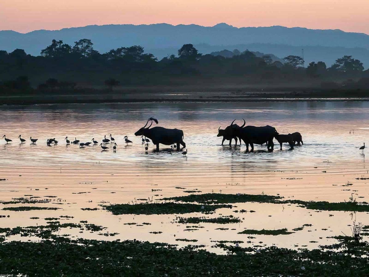 Assam & Meghalaya – Ungezähmte Schönheiten Nordostindiens entdecken – 2 Wochen Tour