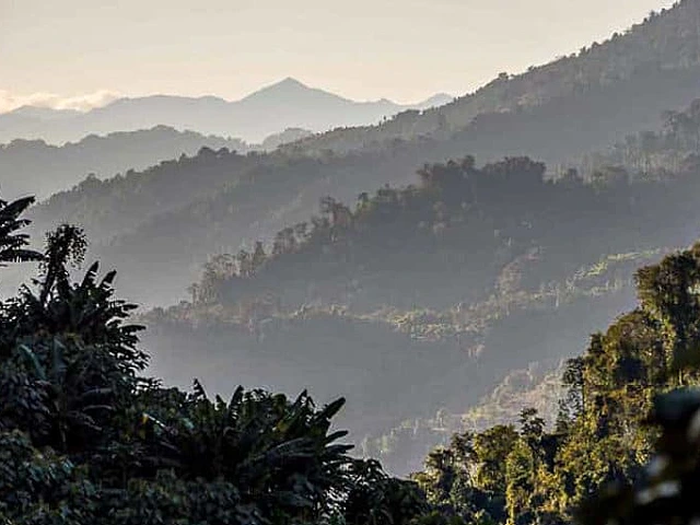Flora and fauna - Arunachal Pradesh
