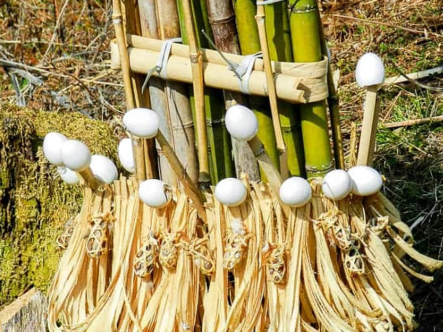 Arunachal Food