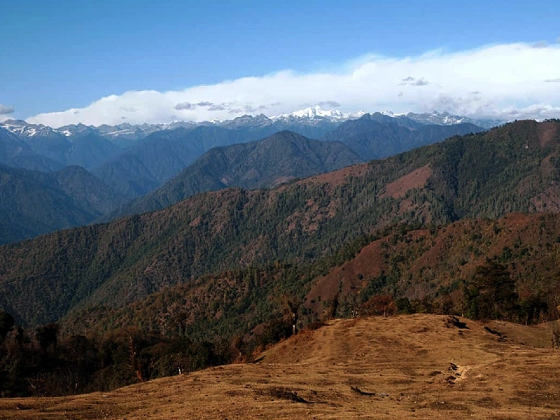 Untouched tropical and subtropical rainforests and cloud forests
