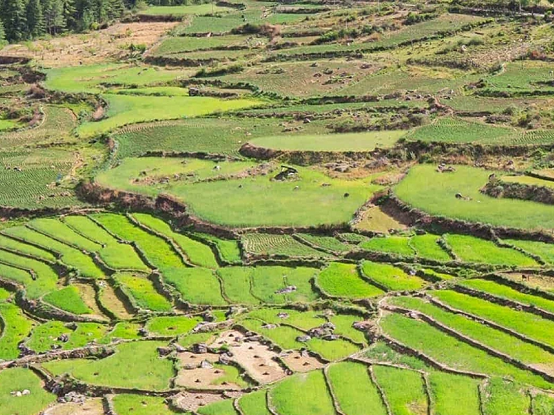 Classic Bhutan Tour Image