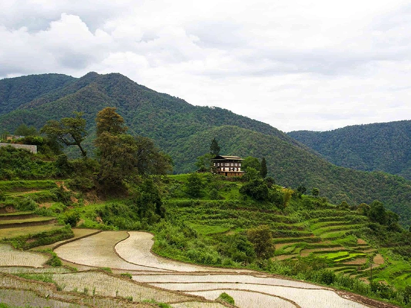 Snow Man Laya Trek – Trekkingtraum in Bhutan