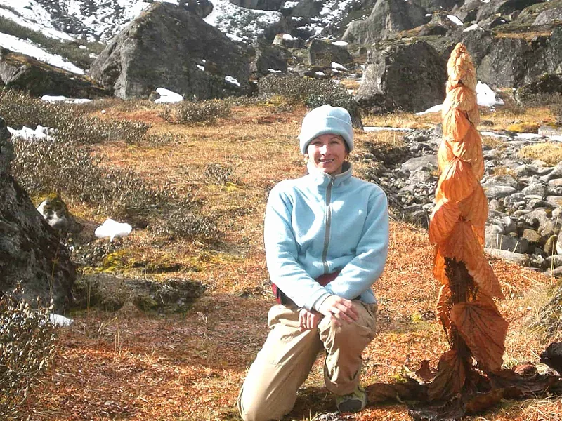 Helen with a rare wild rhubarb plant Image