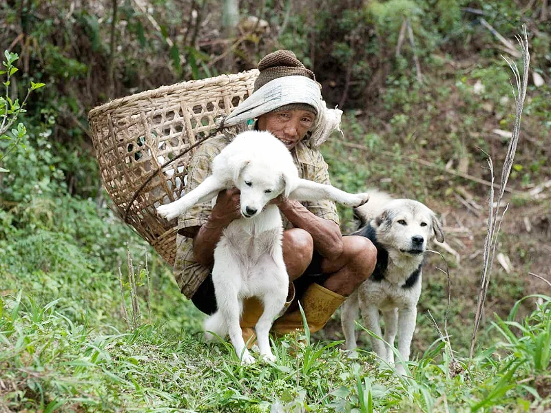 Lepcha farmer Image