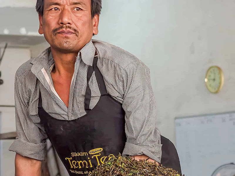 Darjeeling & Kalimpong
