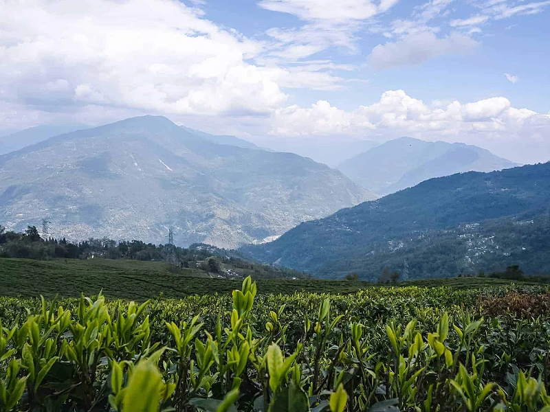 Darjeeling & Kalimpong