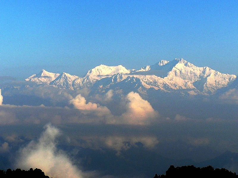 	
Darjeeling in style Image