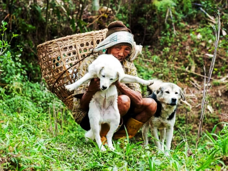 Authentisches Sikkim