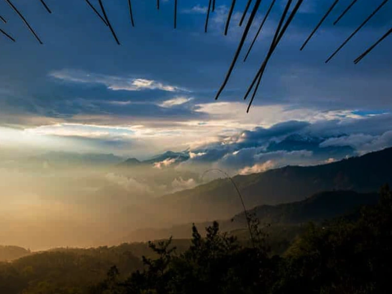 Bamboo Retreat Hotel