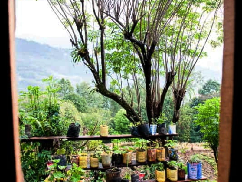 Authentic Sikkim Image
