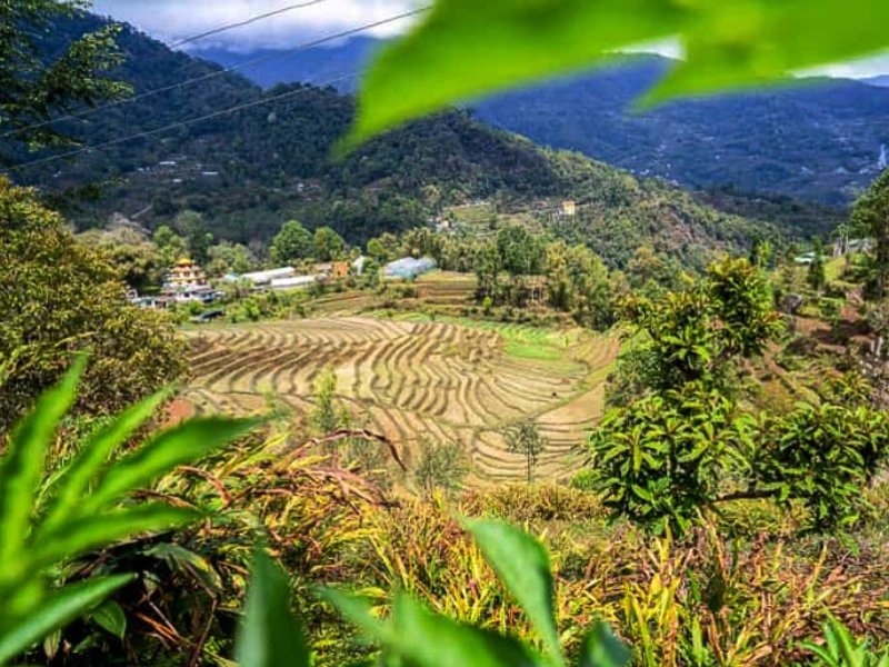Sikkim, the East Image