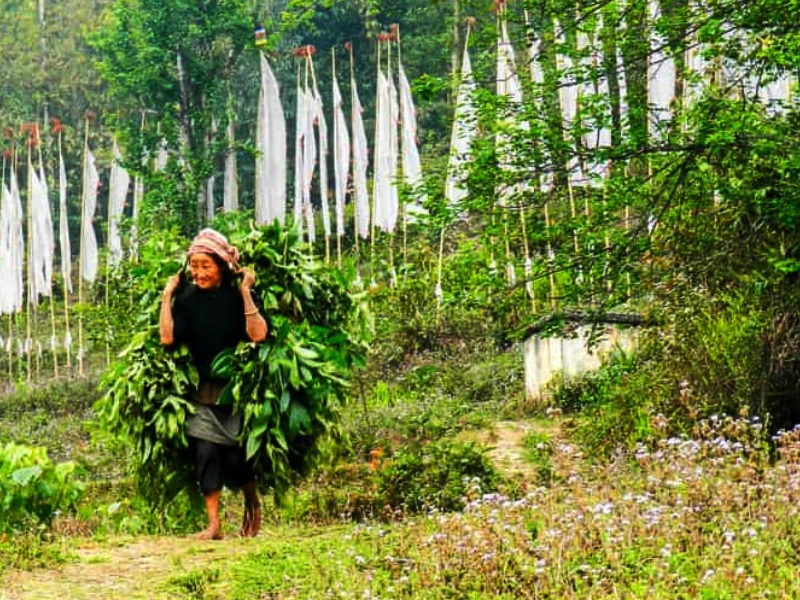 Sikkim, the East Image