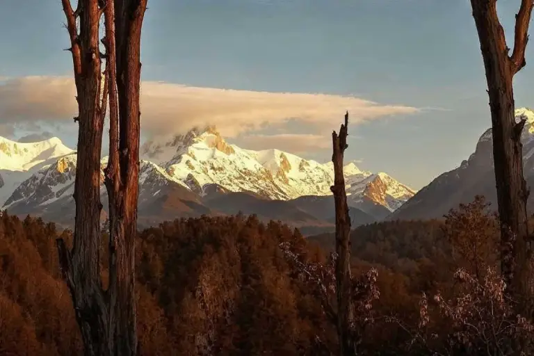 Darjeeling Sikkim Bhutan Image