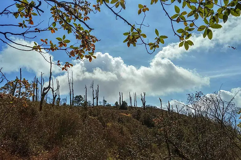 Darjeeling Sikkim Bhutan Image