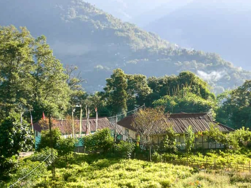 Sikkim’s wild north Image