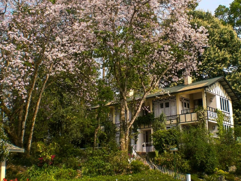Kalimpong Kultur- & Wanderreise