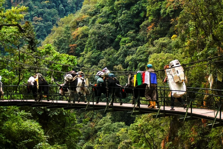 Goechela trekking Image