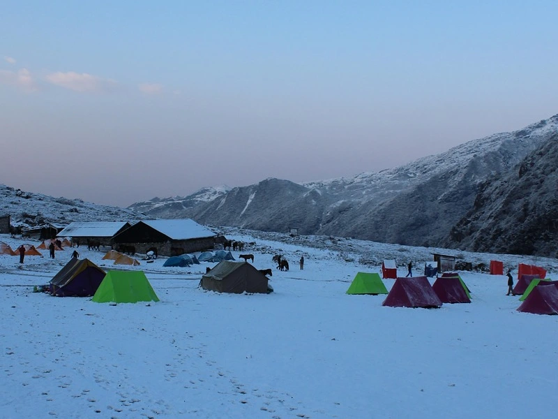 Singelela-Goechela trekking Image