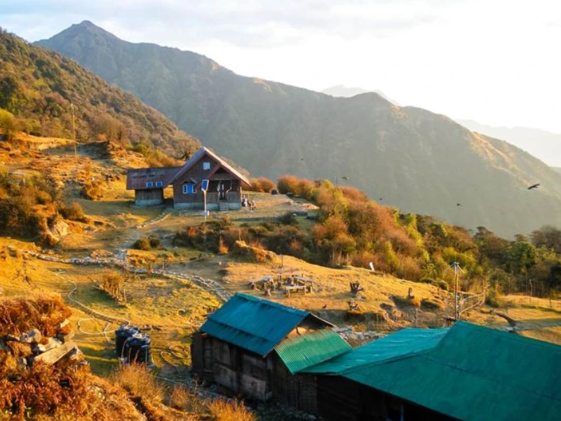 Singelela-Goechela Trekking - Zum Fusse des Kangchendzönga