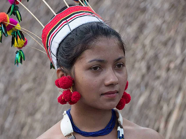 Nagaland – Travelogue of tea plantations and the Hornbill Festival – Information for your trip to India