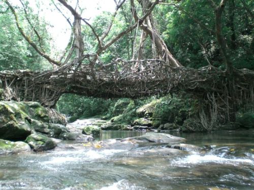 sikkim.ch Photos