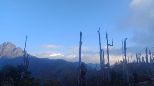 sikkim.ch Photos