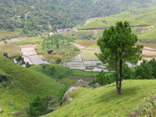 sikkim.ch Photos