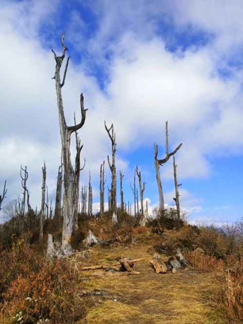 sikkim.ch Photos
