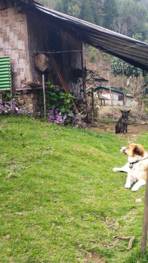 sikkim.ch Photos