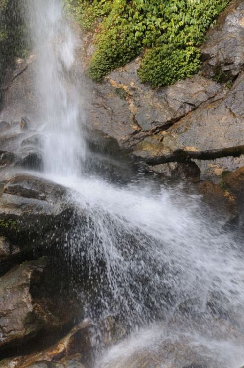 sikkim.ch Photos