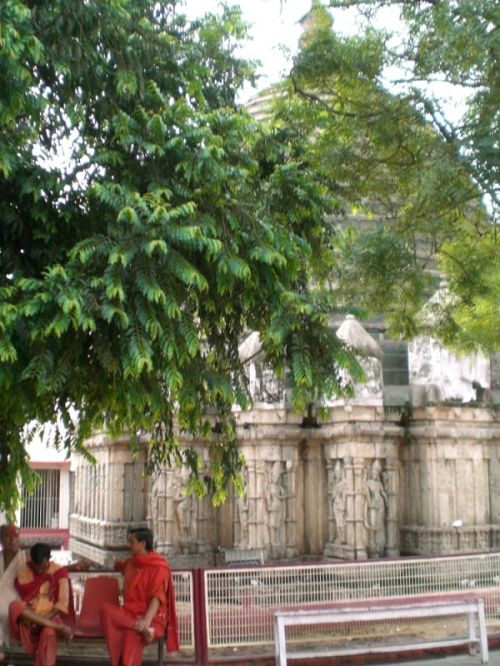 Tour Assam