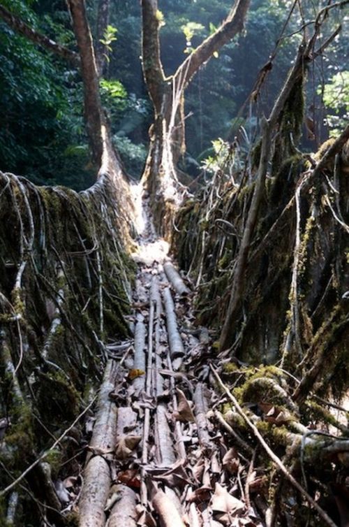 sikkim.ch Photos