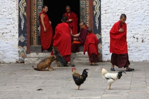 sikkim.ch Photos
