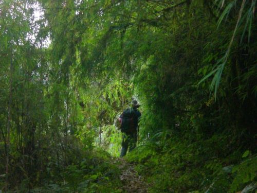 sikkim.ch Photos