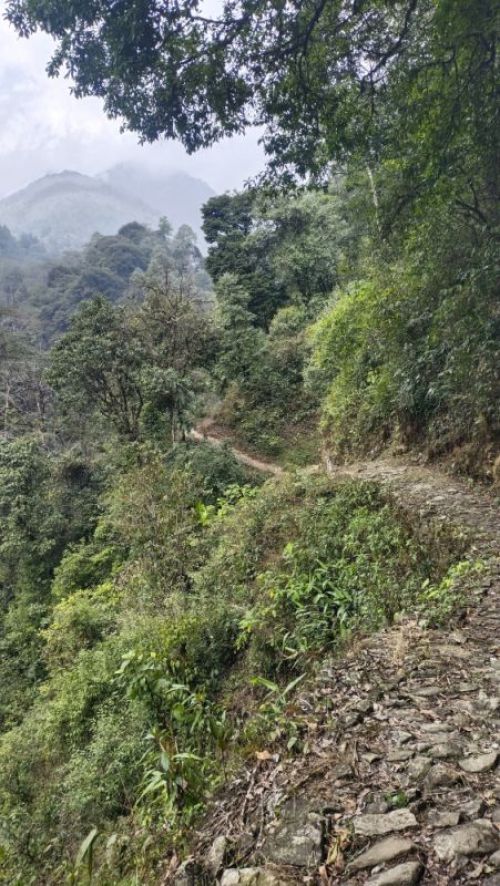sikkim.ch Photos