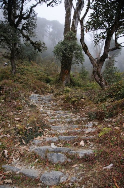 sikkim.ch Photos