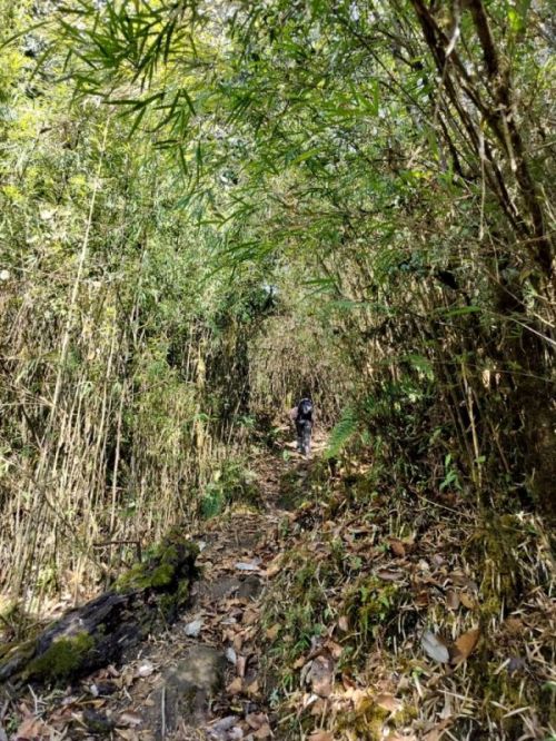 sikkim.ch Photos