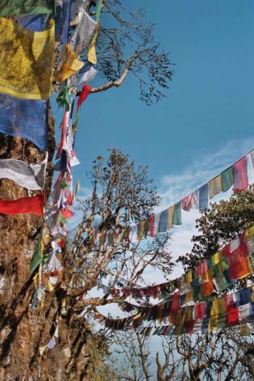 sikkim.ch Photos