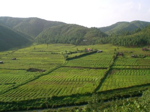 sikkim.ch Photos
