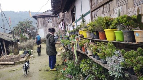 sikkim.ch Photos