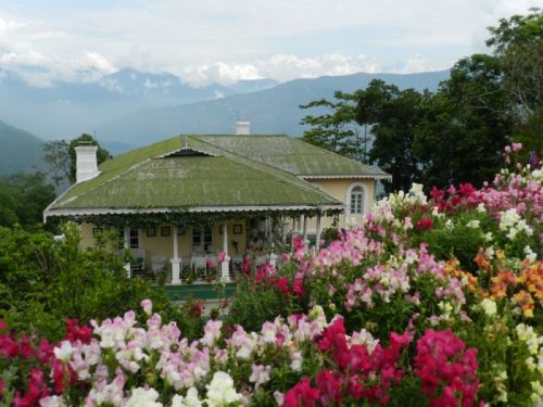 Tour Darjeeling mit Stil Kulturreise