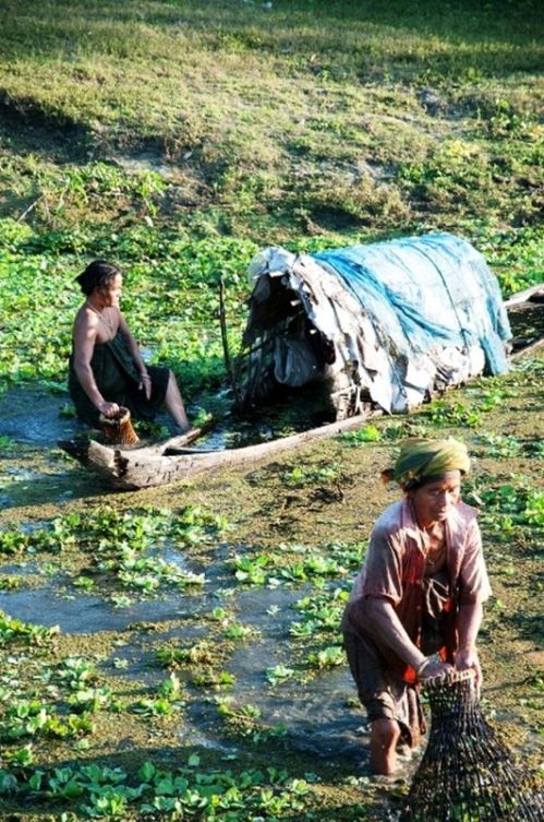 sikkim.ch Photos