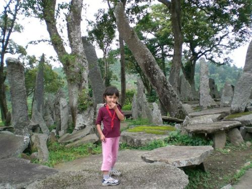 sikkim.ch Photos