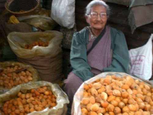 sikkim.ch Photos