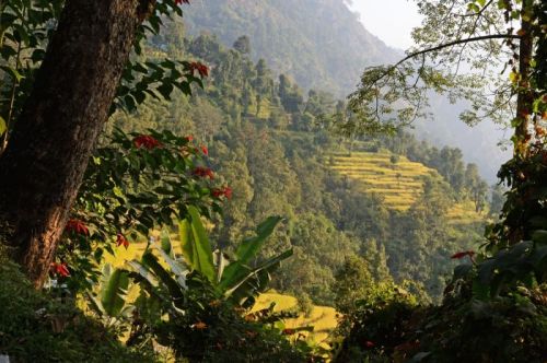 sikkim.ch Photos