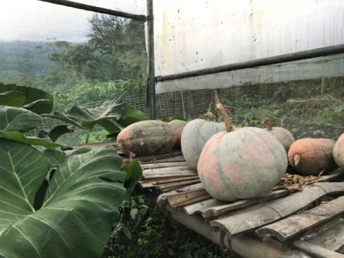 sikkim.ch Photos