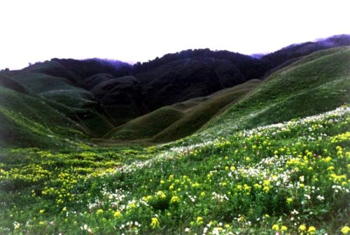 sikkim.ch Photos