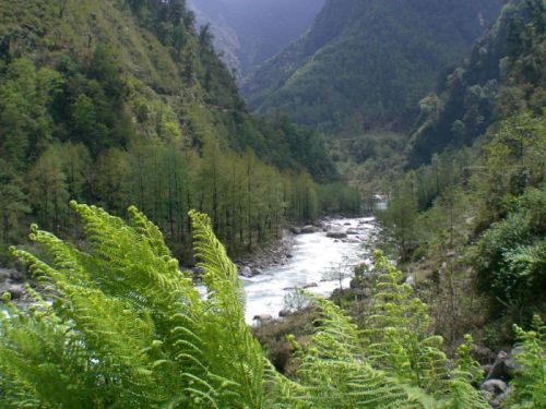 sikkim.ch Photos