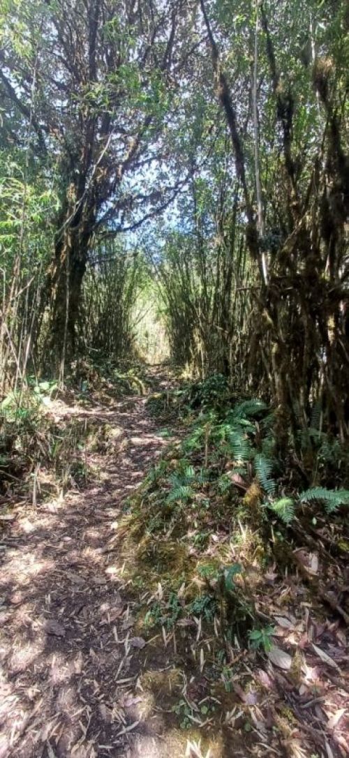 sikkim.ch Photos