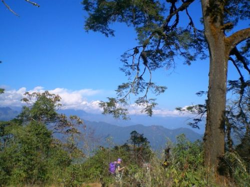 sikkim.ch Photos